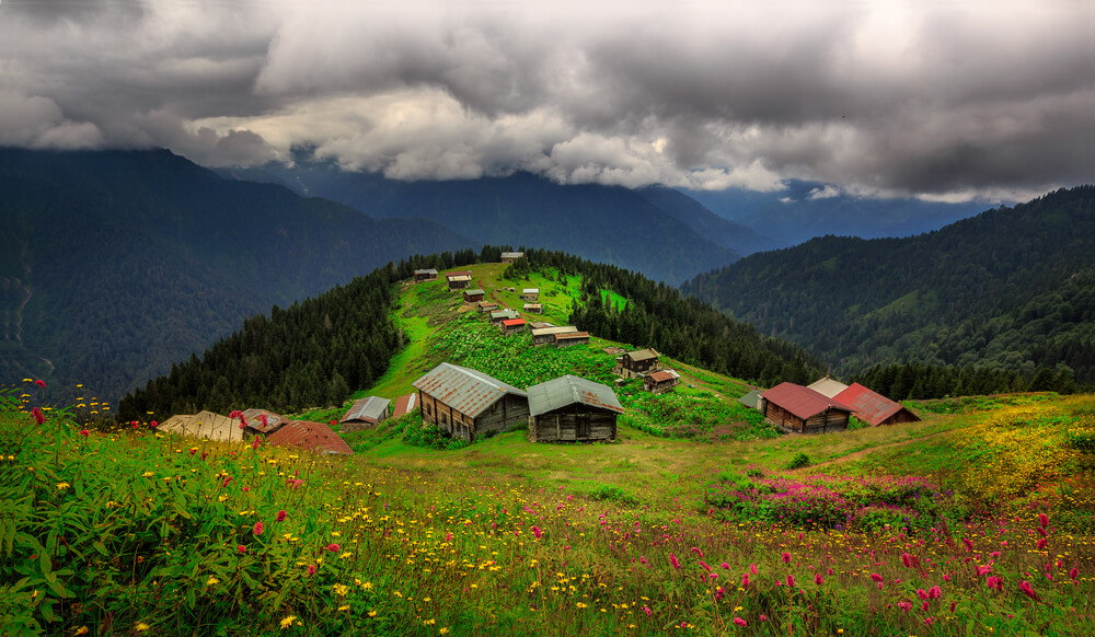 البرامج والجولات